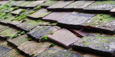 Sunningdale roof repair costs